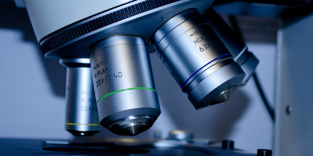 Retinitis Pigmentosa 