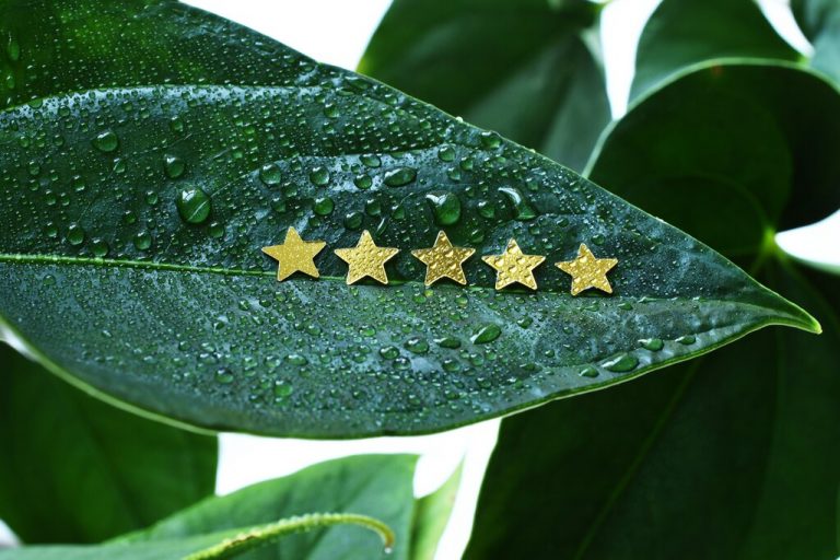 inforeview inforeview